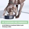 Šunų maistas - JOHN DOG Good Form Suaugusiųjų Vištiena Jautiena 12 kg