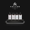 Kallos Botaniq Deep Sea Instant Care Hair Tonikas plaukų tonikas, 300 ml