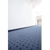 Karcher Miltelių pagrindo valymo priemonė CarpetPro Cleaner RM 760 Classic