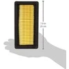 Karcher Nano dengtas plokščias klostuotas filtras
