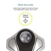 Pelė Leitz KENSINGTON Orbit Optinė Trackball juodas metallic