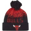 New Era Chicago Bulls NBA Sportinė Kepurė 12122723