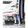 RECORD GULLIVER TOURING IATA 80 cm transportavimo dėžė su dubenėliu, metalinėmis grotelėmis su užraktu pilka/juoda