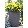 Curver Keter vazonas Rattan Planter, 57cm