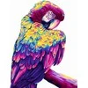 Wizardi Tapybos pagal skaičius rinkinys: H140 Parrot Pop Art 40*50