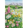 Andriana Beldizart PARDAVIMAS Alpine Meadow SANA-04 (D)