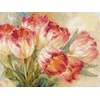 Alisa Beldizart Tulpės S2-29