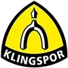 KLINGSPOR ŚCIERNICA LISTKOWA TRZPIENIOWA KM613 60mm x 30mm x 6mm gr. 60