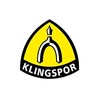 KLINGSPOR ŚCIERNICA LISTKOWA TRZPIENIOWA KM613 60mm x 30mm x 6mm gr.120