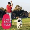KONG Extreme M guminis žaislas šunims 8cm