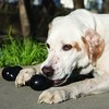 Kong - Goodie Bone Extreme Medium 17,8 cm