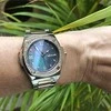 Laikrodis Watches GC LADIES Y98001L5MF