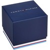 Vyriškas laikrodis TOMMY HILFIGER 1791308 (zf075a)