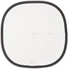 Lastolite EzyBalance Greycard 50cm LL LR2050