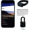 LED Lenser Stovyklavimo Lempa - Ledlenser ML6 ConnectWL Juoda/Balta Ledlenser ML6 ConnectWL Įkraunama Lempa, 750 Liumenų, Juoda