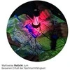 LED Lenser Stovyklavimo Lempa - Ledlenser ML6 ConnectWL Juoda/Balta Ledlenser ML6 ConnectWL Įkraunama Lempa, 750 Liumenų, Juoda