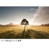 Lee Filters Lee filtro neutralus tankis 0,6 ND Grad Hard