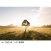 Lee Filters Lee filtro neutralus tankis 0,6 ND Grad Hard