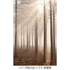 Lee Filters Lee filtro neutralus tankis 0,6 ND Grad Soft