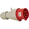 Legrand Portinis kištukas 5P 32A 400V raudona IP44 P17 TEMPRA PRO (555239)