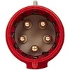 Legrand Portinis kištukas 5P 32A 400V raudona IP44 P17 TEMPRA PRO (555239)