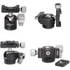 Leofoto Ranger LS-224C+LH-25