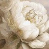 LetiStitch luca S Skaičiuojamo kryžminio dygsnio rinkinys „Peony Poses“ 35x35cm SLETIL8083