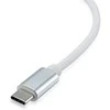 Level One Pirmo lygio USB-0504 Gigabit USB-C tinklo adapteris