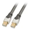 Kabelis Lindy Rodyti Port mini - DisplayPort mini 2m sidabro (41542)