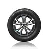 Vasarinės padangos Ling Long R701 165/40 R17 75 V XL (D B B 71dB)