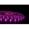 Lite bulb moments - Smart Atsparus vandeniui LED strip 5M RGBW