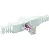 LOGILINK MP0025 LOGILINK - UTP Cat.6 modulinis kištukas be įrankių