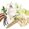 Sarah Jessica Parker Lovely EDP parfumuotas vanduo unisex, 30 ml