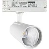 Lubinis šviestuvas Paulmann URail System Spot Tubo 1x5W Matinis Juodas 230V Metalas/Plastikas