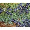 luca S Irisai, Van Gogho reprodukcija SB444