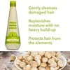 Macadamia Smoothing Šampūnas, 300 ml