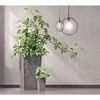 Gėlių vazonas Prosperplast Urbi Square Beton Effect, 22 x 22 x 42 cm