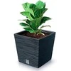 Prosperplast Vazonas FURU SQUARE LOW su įdėklu 10/7,5 L 240x240x235 mm melsva sp. Prosperplas