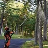Grandininis pjūklas Makita UA004GZ Cordless telescopic pole saw, 40Vmax XGT, BL-motor, 300mm, 20 m/s. be akumuliatoriaus ir kroviklio
