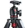 „Manfrotto 055XPRO3“ su BHQ2 galvute