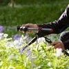 Manfrotto Befree Gt Xpro