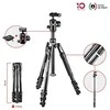 Manfrotto trikojis MKBFRLA4B-BHM Befree 2N1