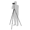 Manfrotto BEFREE GT
