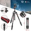 Manfrotto BEFREE Advanced Carbon