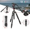 Manfrotto BEFREE Live Twist juoda