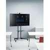 Manhattan 461238 monitoriaus laikiklis arba stovas 177,8 cm (70") Juoda