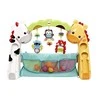 FISHER PRICE lavinamasis kilimėlis Toddler Play Zone, CCB70