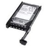 CoreParts Serverio diskas 146 GB 2,5 colio SAS-1 (3 Gb/s) (SA146005I838)