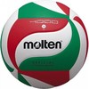 Tinklinio kamuolys Molten V5M4000-X
