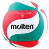 Tinklinio kamuolys Molten V5M4000-X